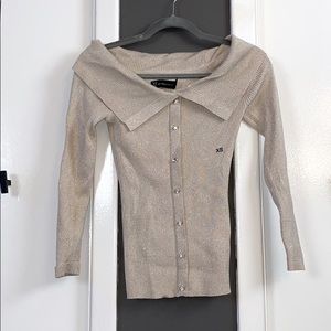 Shimmery Champagne Blouse